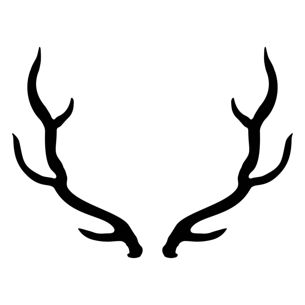 antlers-7-witts-services-welding-fabrication